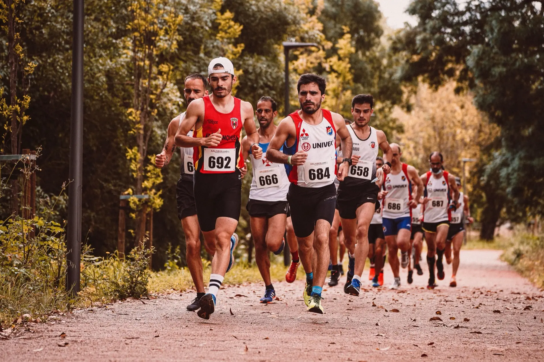 Grupo de corredores de maratón en un sendero arbolado